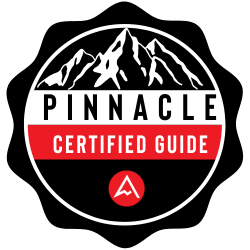 Pinnacle Certified Business Guide – Red Team Leadership